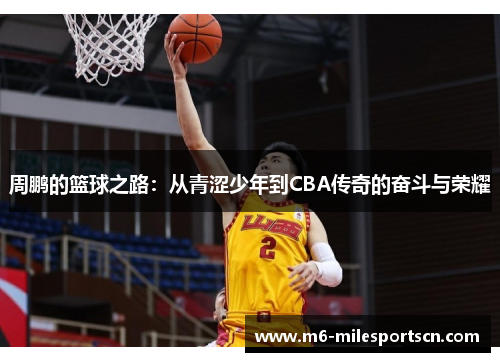 周鹏的篮球之路：从青涩少年到CBA传奇的奋斗与荣耀